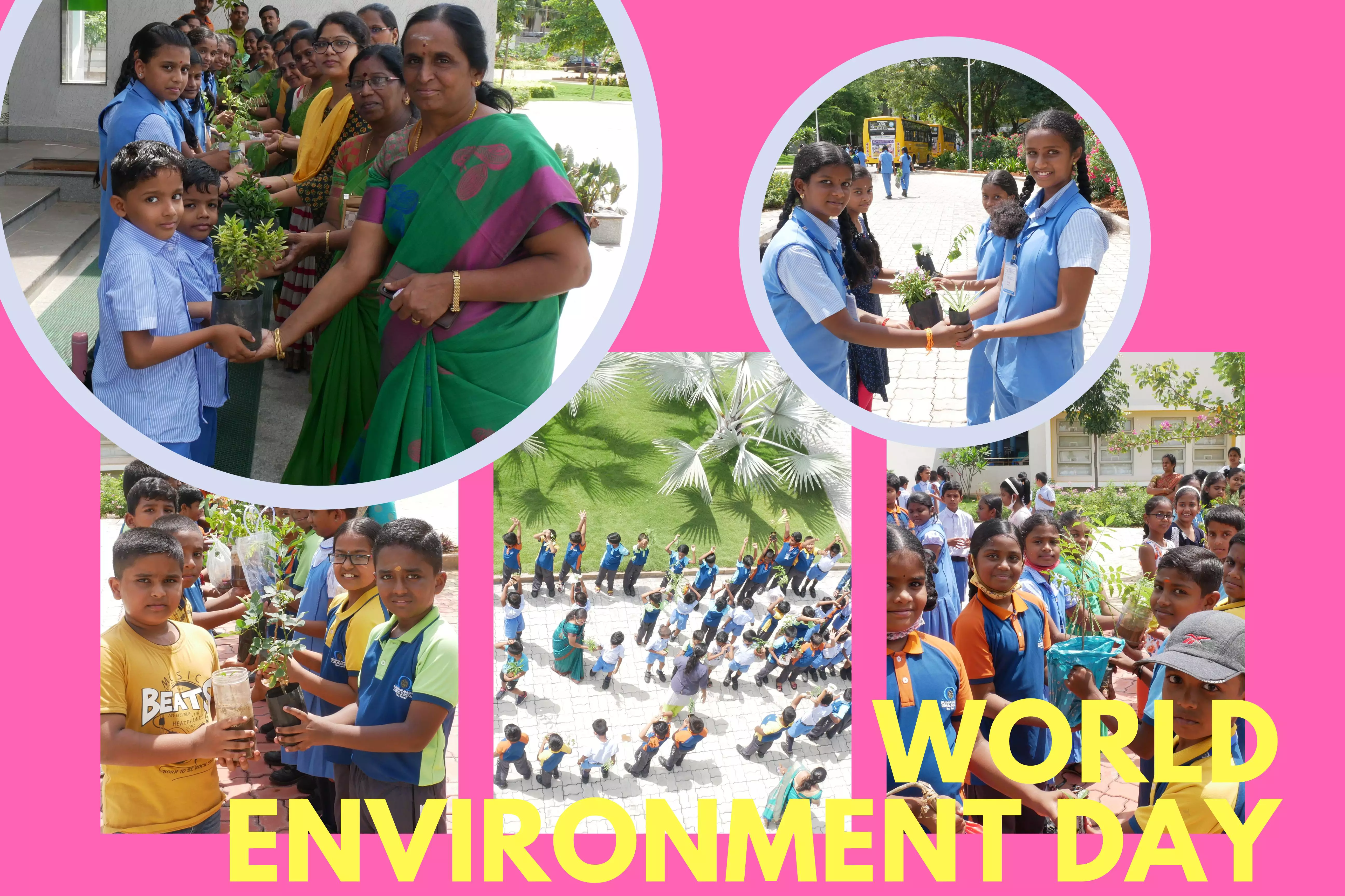 WORLD ENVIRONMENT DAY CELEBRATION