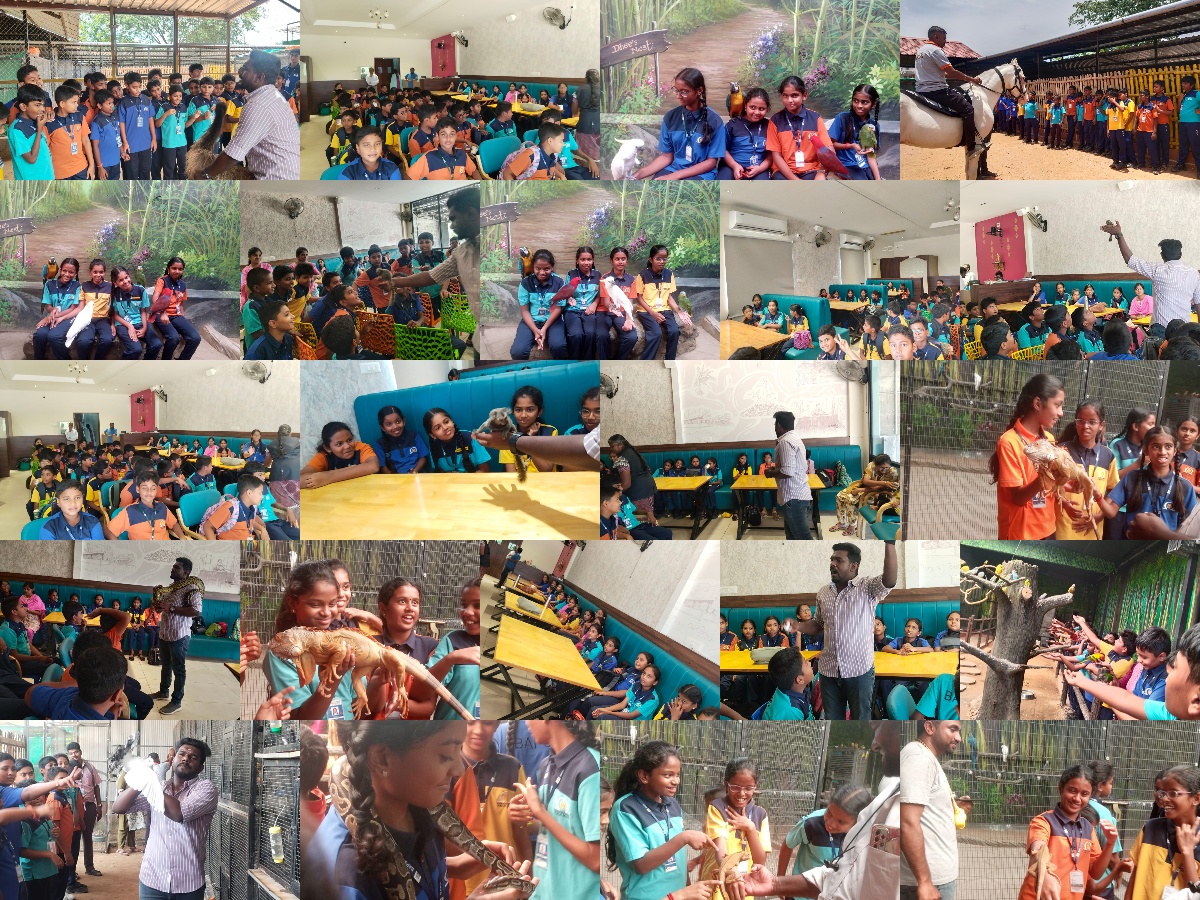 Students Field Trip - Feather Spark